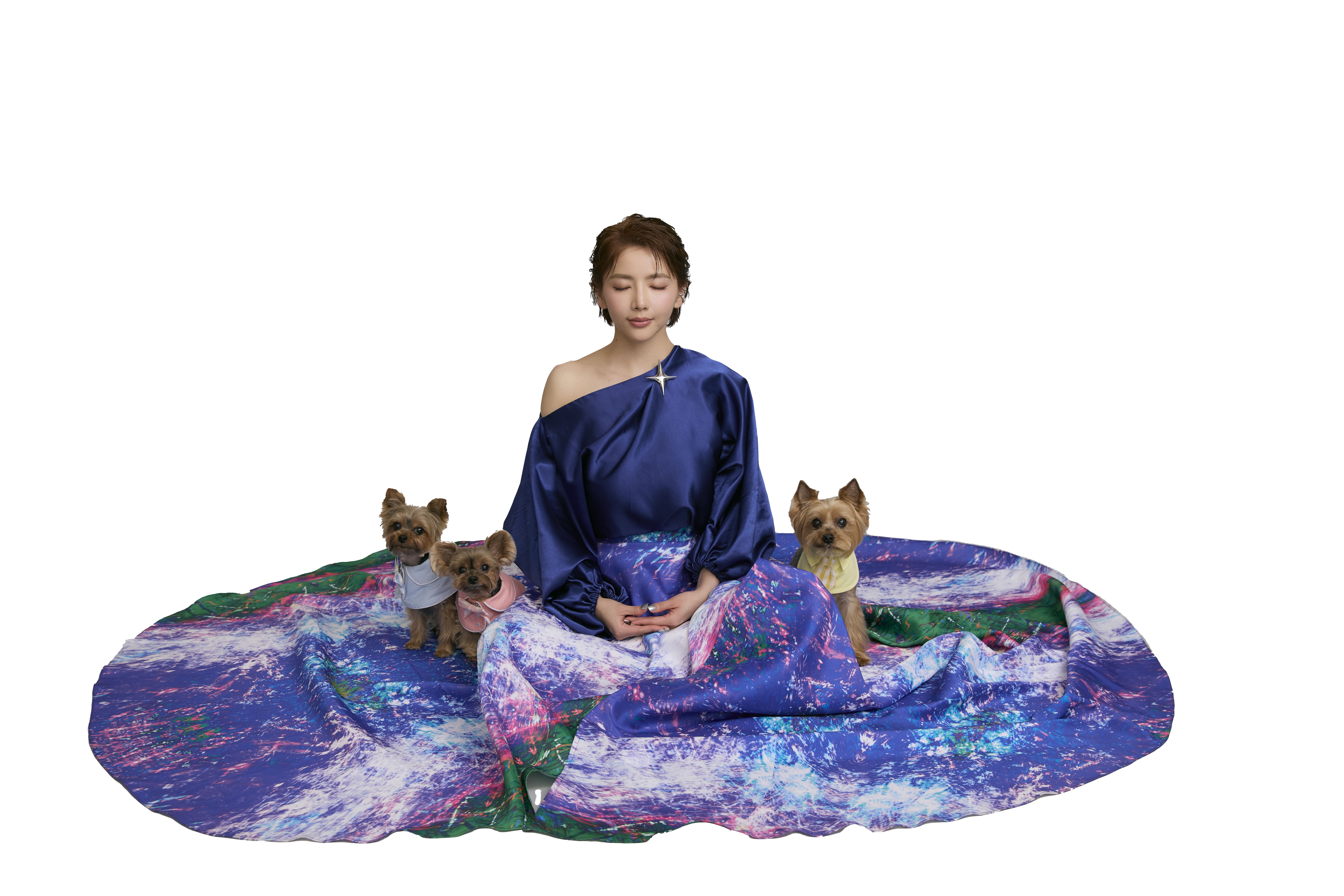 羽葤
